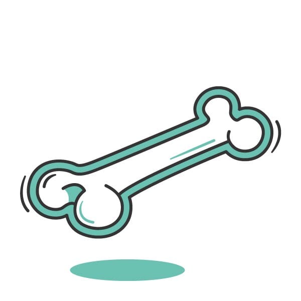 Illustration eines starken Knochens.