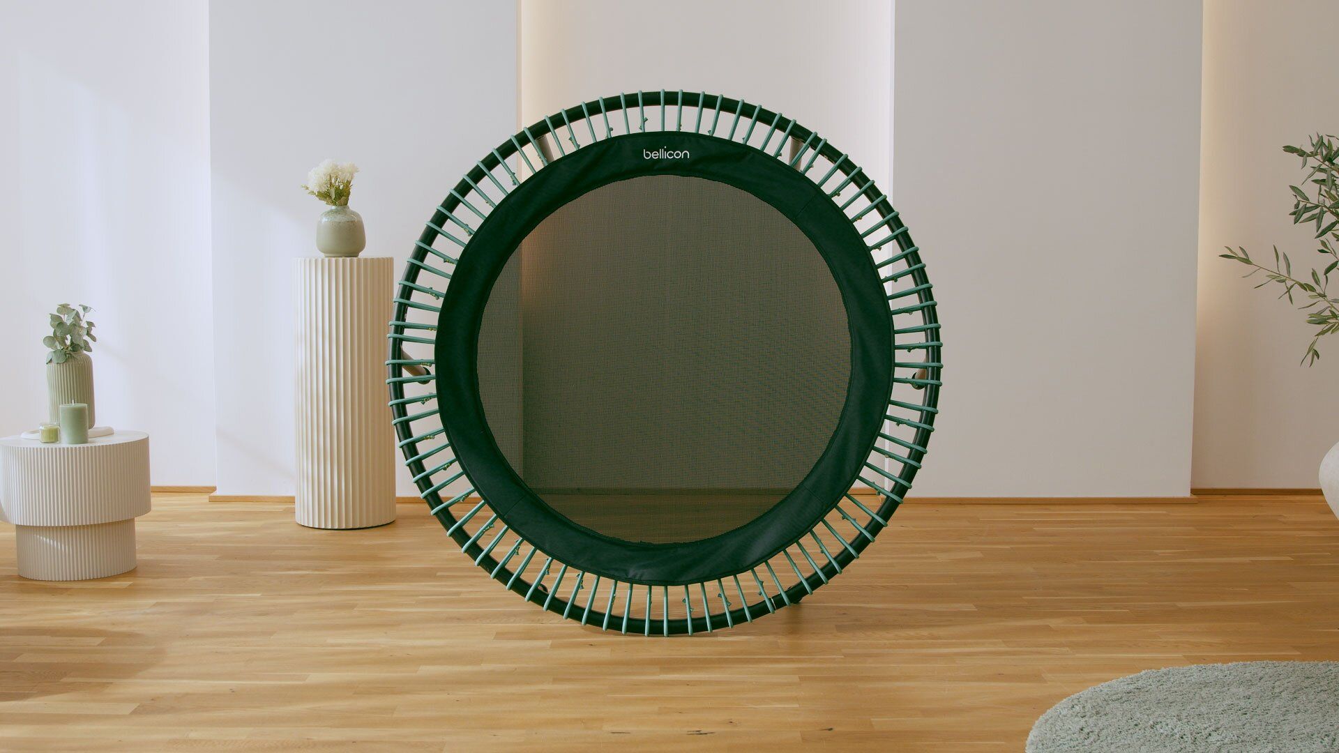 Vue de dessus d’un rebounder bellicon édition menthe.