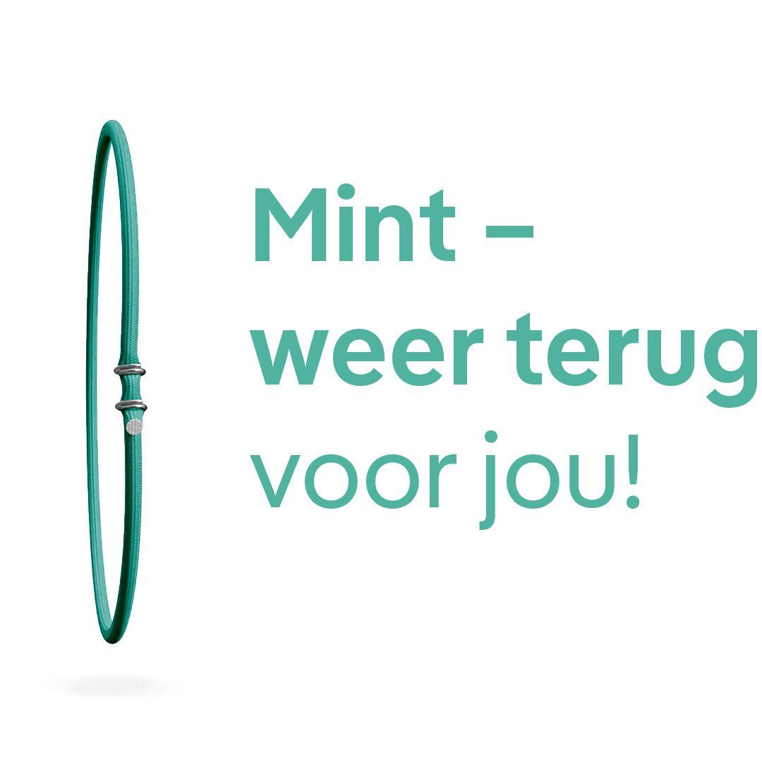 Enkele elastiekring – MINT is terug om te blijven.