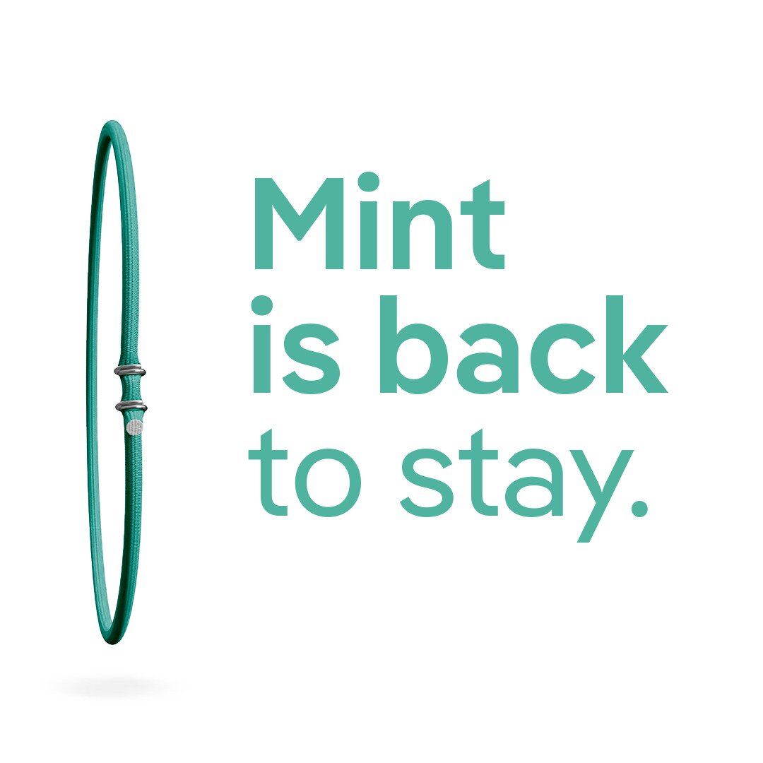 Single bungee - MINT is back to stay.