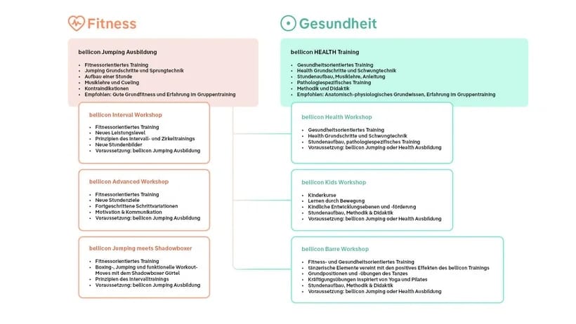 A graphic illustrating the various offerings of the bellicon Academy.